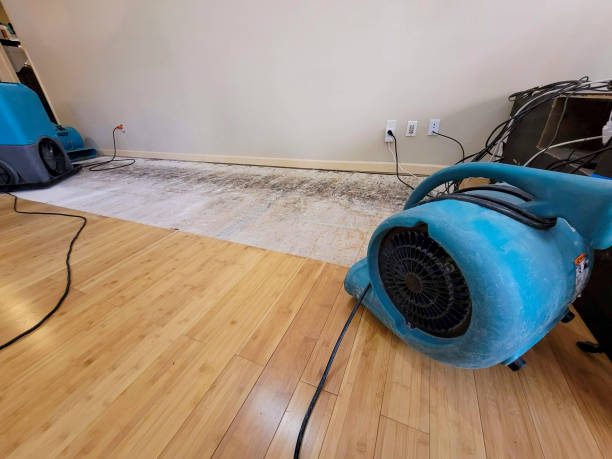 Professional Water Damage Repair technician working in Stockton, UT